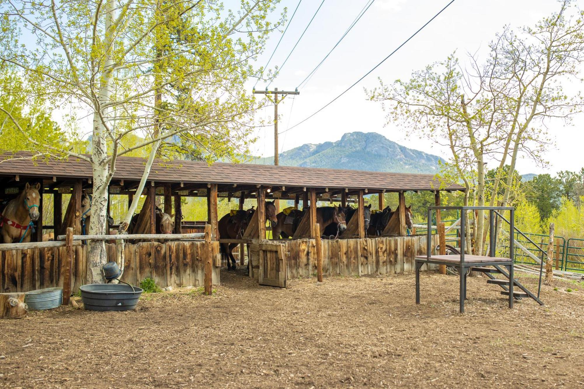 The Meeker Park Lodge Allenspark 외부 사진