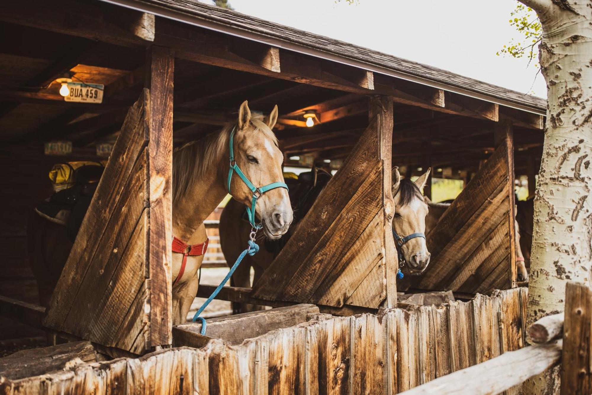 The Meeker Park Lodge Allenspark 외부 사진