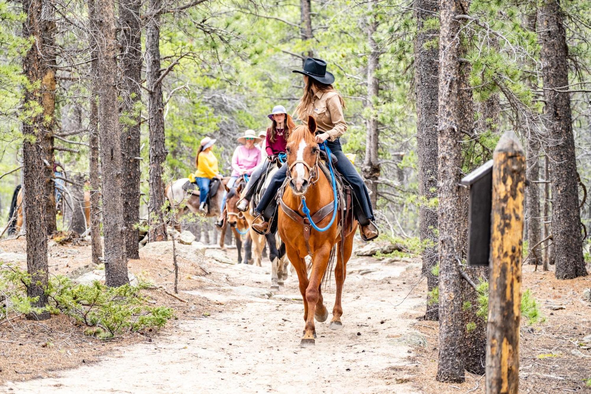 The Meeker Park Lodge Allenspark 외부 사진